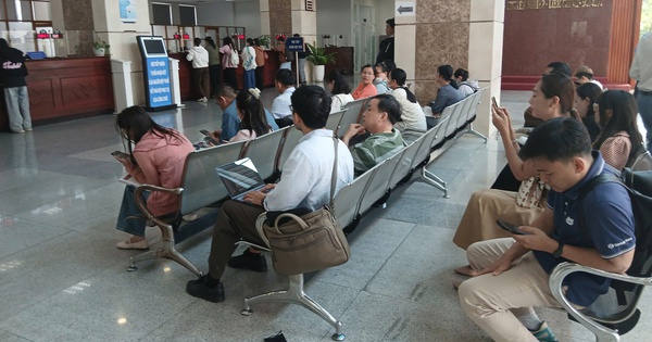 Doanh thu hộ kinh doanh miễn thuế nên được tính sát với lợi nhuận