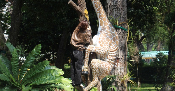 Trào lưu leo tượng chụp ảnh sống ảo: Thảo Cầm Viên Sài Gòn lên tiếng