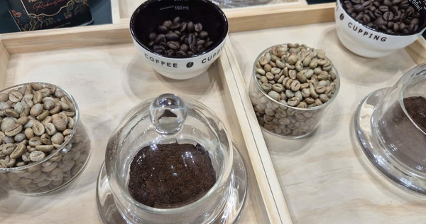 Giá cà phê hôm nay, 30-4, giảm nhẹ; Starbucks có gần 8.000 cửa hàng tại Trung Quốc