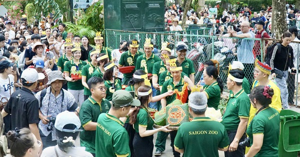Phi Phi rước dâu, Thảo Em 