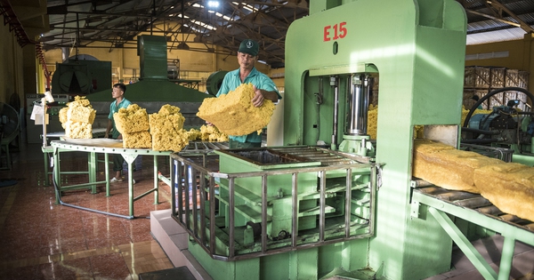 VRG quyết liệt triển khai Nghị quyết 79 về phát triển kinh tế nhà nước