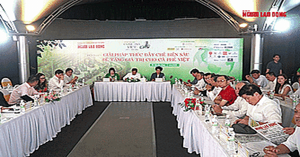 Giải pháp tăng giá trị cho cà phê Việt