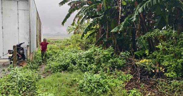 Yêu cầu xã giải quyết vụ lô đất trúng đấu giá 18 năm không có trên thực địa