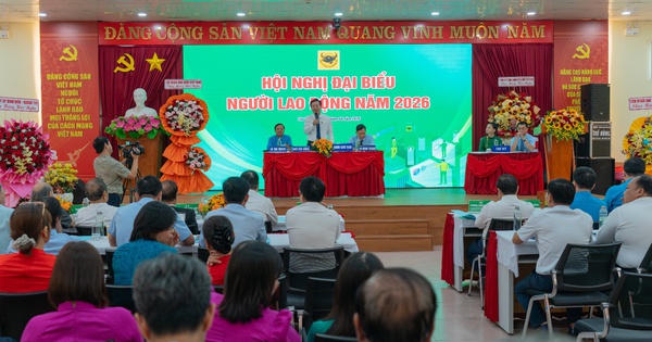 Bình Điền vượt 10.000 tỉ đồng doanh thu, khẳng định vị thế dẫn đầu ngành phân bón