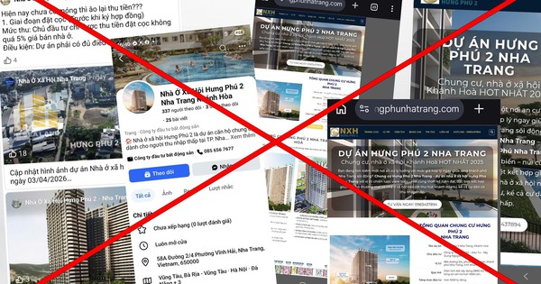 Giăng bẫy nhà ở xã hội trên mạng