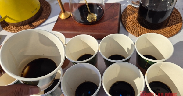 Giá cà phê hôm nay 6-4: Xu hướng sắp tới