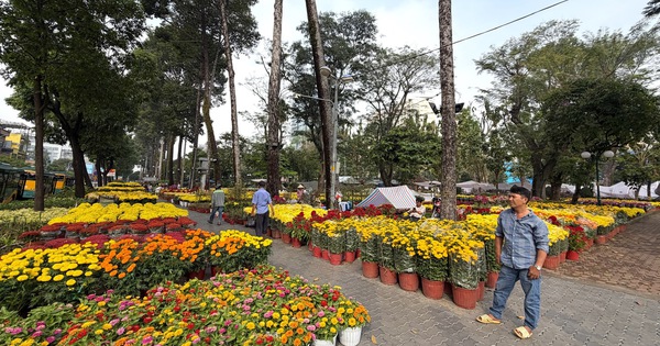 TPHCM: Khẩn trương rà soát quỹ đất phát triển công viên, cây xanh