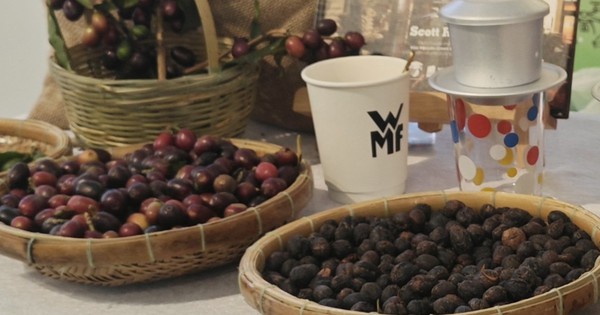 Giá cà phê hôm nay 7-4: Arabica tăng giá, 20% vùng trồng có nguy cơ không phù hợp