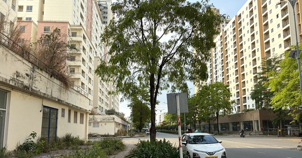 Rà soát quỹ nhà tái định cư sau chỉ đạo của Bí thư Thành ủy TPHCM