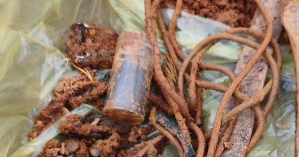 Tiếp tục phát hiện di vật nghi chứa thông tin quan trọng chôn cùng hài cốt liệt sĩ