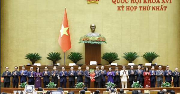 Thủ tướng và các Phó Thủ tướng Chính phủ nhiệm kỳ 2026-2031