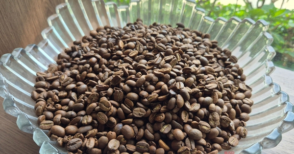 Giá cà phê hôm nay 8-4: Cả hai sàn đỏ lửa, Robusta xuống đáy 8 tháng