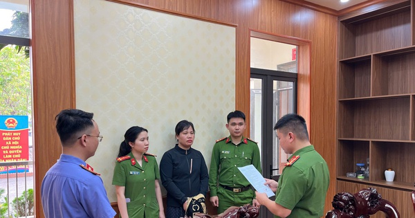 Người phụ nữ lừa chạy án vụ tai nạn giao thông, chiếm đoạt gần 500 triệu đồng