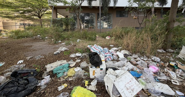 TPHCM: 74 điểm ô nhiễm còn tồn đọng rác