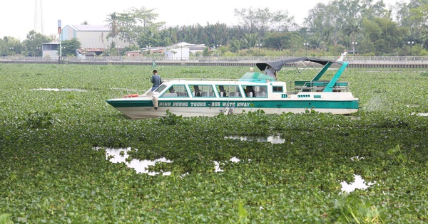 Một người nhảy cầu ở Tây Ninh, để lại xe máy và 2 điện thoại