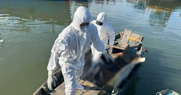 Phát hiện thi thể 1 người đàn ông khoảng 50 tuổi tại ụ Ba Thám