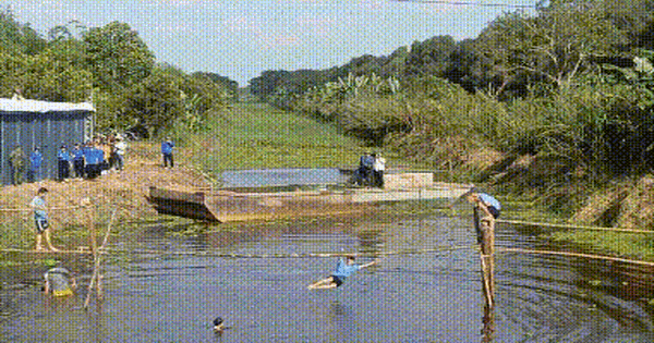 CLIP: Thử thách đi cầu khỉ ở Vườn Quốc gia U Minh Hạ