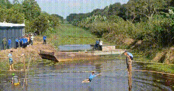 CLIP: Hàng trăm người thử thách đi cầu khỉ ở Vườn Quốc gia U Minh Hạ