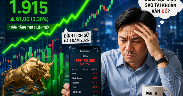 VN-Index vượt đỉnh lịch sử, tưởng ai cũng thắng lớn nhưng thực tế lại rất khác!