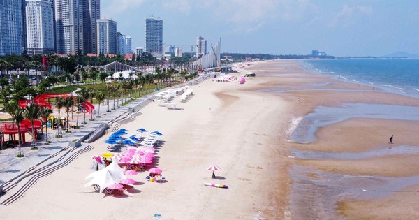 15 Chủ tịch UBND xã, phường, đặc khu làm thành viên một Ban Chỉ đạo vừa thành lập của TPHCM