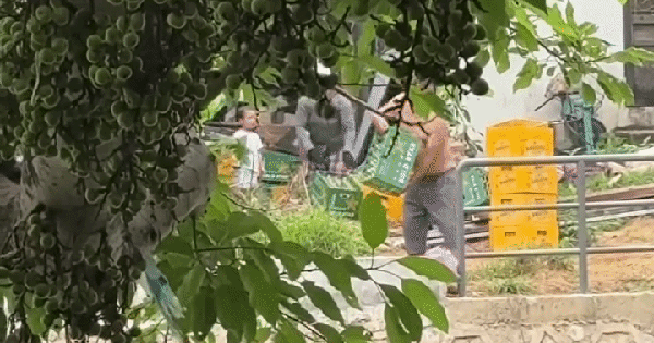 CLIP: Đổ hơn 100 vỏ chai bia xuống sông vì “để trong khuôn viên nhà chật chội”