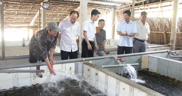 Hệ lụy từ việc đua nhau sản xuất theo phong trào