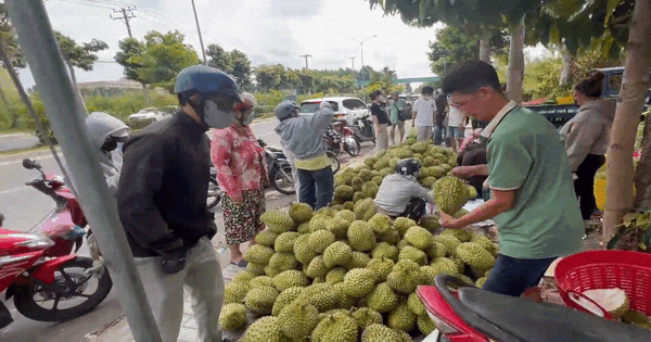 VIDEO: Con đường 