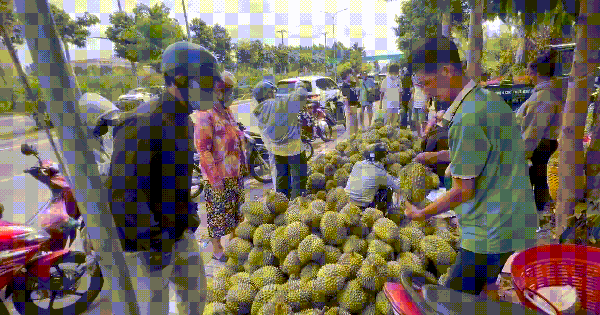 VIDEO: Con đường "thơm nức" nhất Cần Thơ thời điểm này