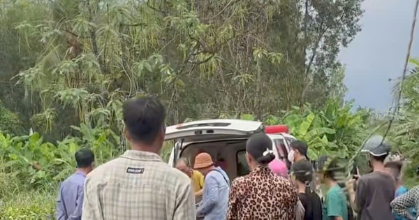 Người đàn ông đi cưa cây thuê bị sét đánh tử vong