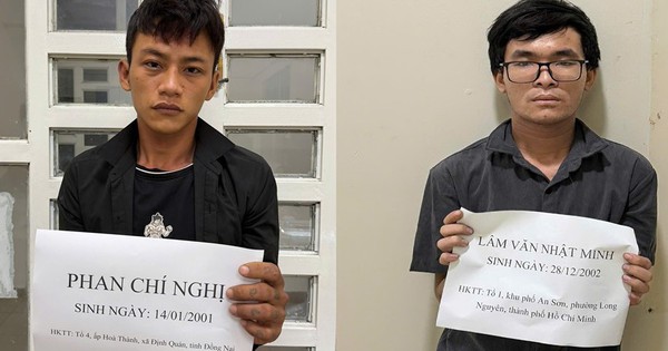 Tạm giam 2 đối tượng gây ra hàng loạt vụ trộm cắp, cướp tài sản ở Đồng Nai