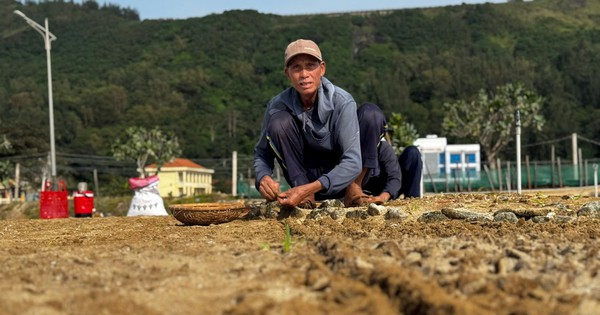 Lý Sơn "khát" nước ngọt