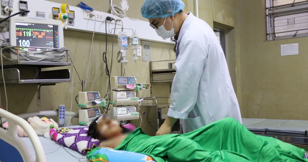 Một học sinh lớp 4 được gia đình đưa đến bệnh viện trong tình trạng nguy kịch sau khi bị ong đốt