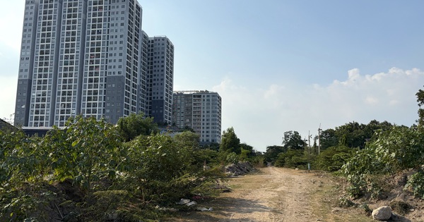 TPHCM: Chỉ đạo mới về hệ số điều chỉnh giá đất
