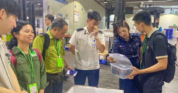 Tiếp nhận 28 cá thể rùa quý hiếm hồi hương từ Hàn Quốc