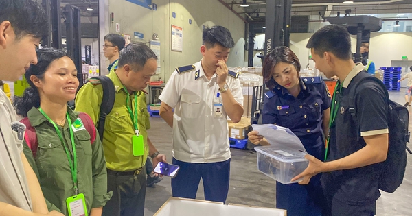 Tiếp nhận 28 cá thể rùa quý hiếm hồi hương từ Hàn Quốc