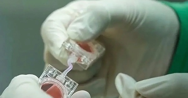 Cuộc nghiên cứu chưa từng có trên không gian