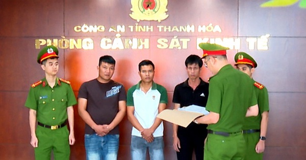 Khởi tố 3 người đàn ông mua heo bị dịch tả về giết mổ bán ra thị trường