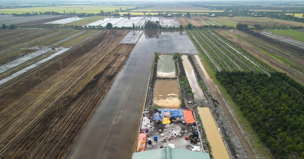 Tây Ninh: Xử phạt hơn 170 triệu đồng đối với Công ty TNHH Nhà Phúc Hậu