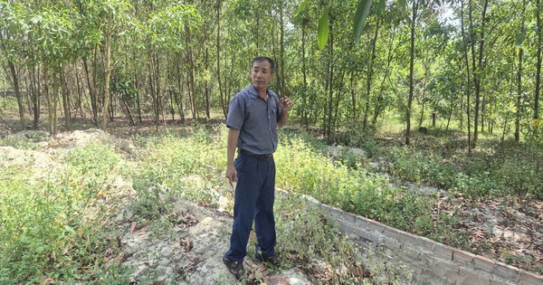 Cựu cán bộ xã xót xa khi mộ con bị di dời