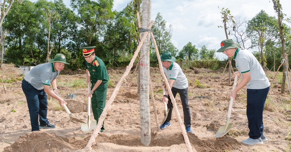 Cà Mau phát động Tết trồng cây "Đời đời nhớ ơn Bác Hồ", mục tiêu trồng mới hơn 1 triệu cây xanh