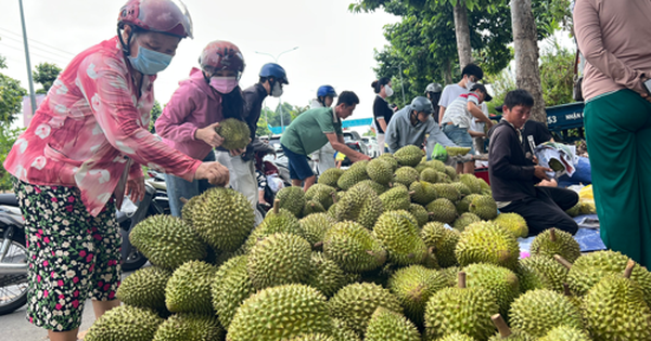 Sầu riêng lấy lại đà tăng giá