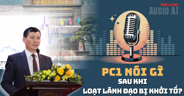 Chủ tịch PC1 Trịnh Văn Tuấn bị khởi tố: Vốn hóa "ông lớn" ngành điện bốc hơi gần 6.000 tỉ đồng
