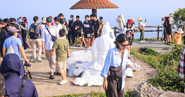 Đà Nẵng mở tour thưởng trà trên đỉnh Bàn Cờ