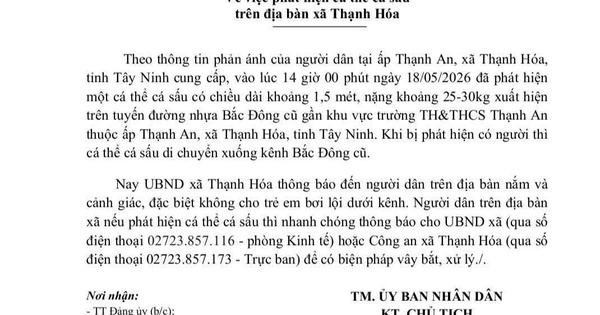 Tây Ninh phát cảnh báo khẩn vì cá sấu xuất hiện