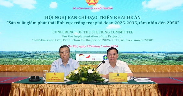 Mở rộng trồng trọt giảm phát thải, nâng cao thu nhập cho nông dân
