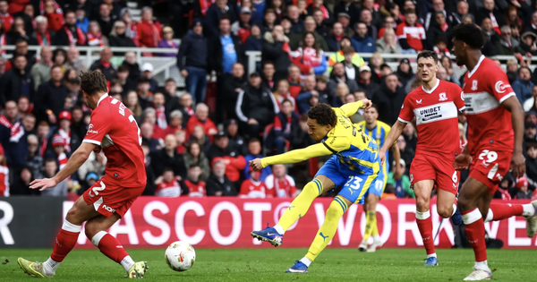 Bê bối nghi án "Spygate", Southampton bị loại khỏi chung kết play-off thăng hạng
