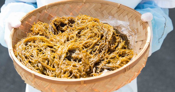 Fucoidan và xu hướng bảo vệ sức khỏe từ bên trong