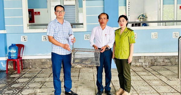 Phát hiện con vật quý hiếm, dài 70cm nằm giữa đồng ruộng