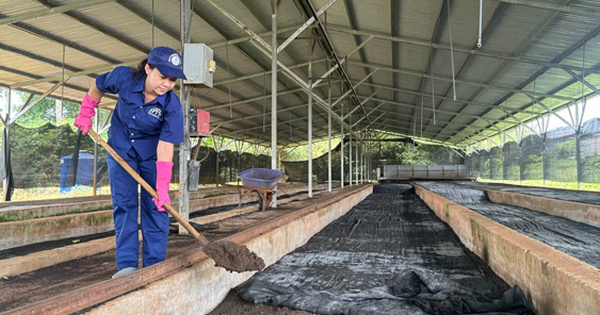 Học Bác tinh thần trách nhiệm, sáng tạo