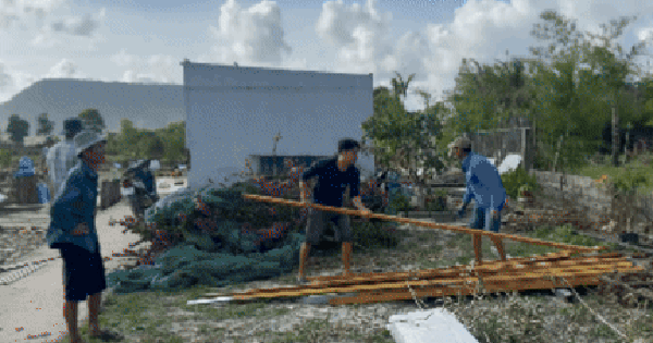 Phú Quốc tiếp tục cưỡng chế 4 cá nhân bao chiếm 46.000 m2 đất rừng